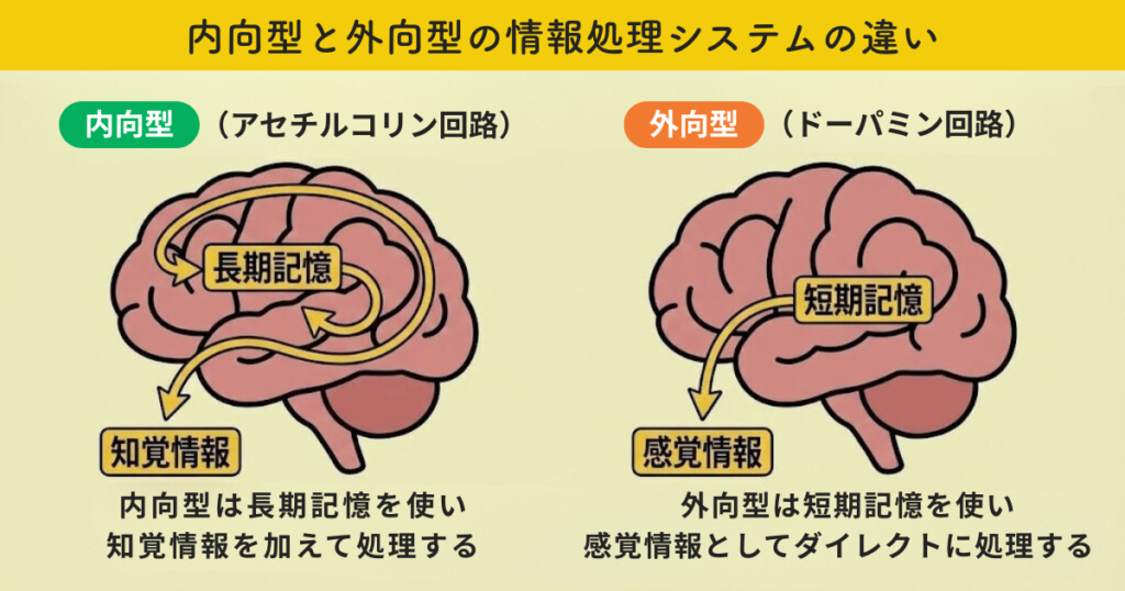 内向型と外向型の情報処理システムの違い