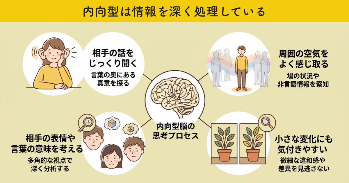 内向型は情報を深く処理している