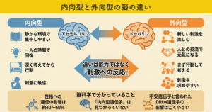 内向型と外向型の脳の違い