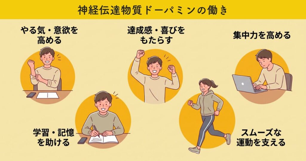 神経伝達物質ドーパミンの働き